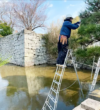 洲本税務署 剪定作業