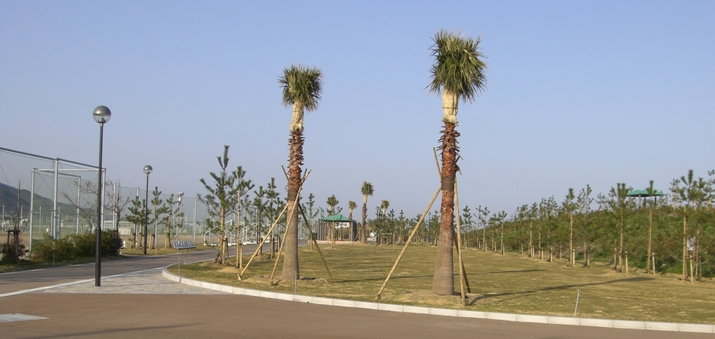 佐野運動公園